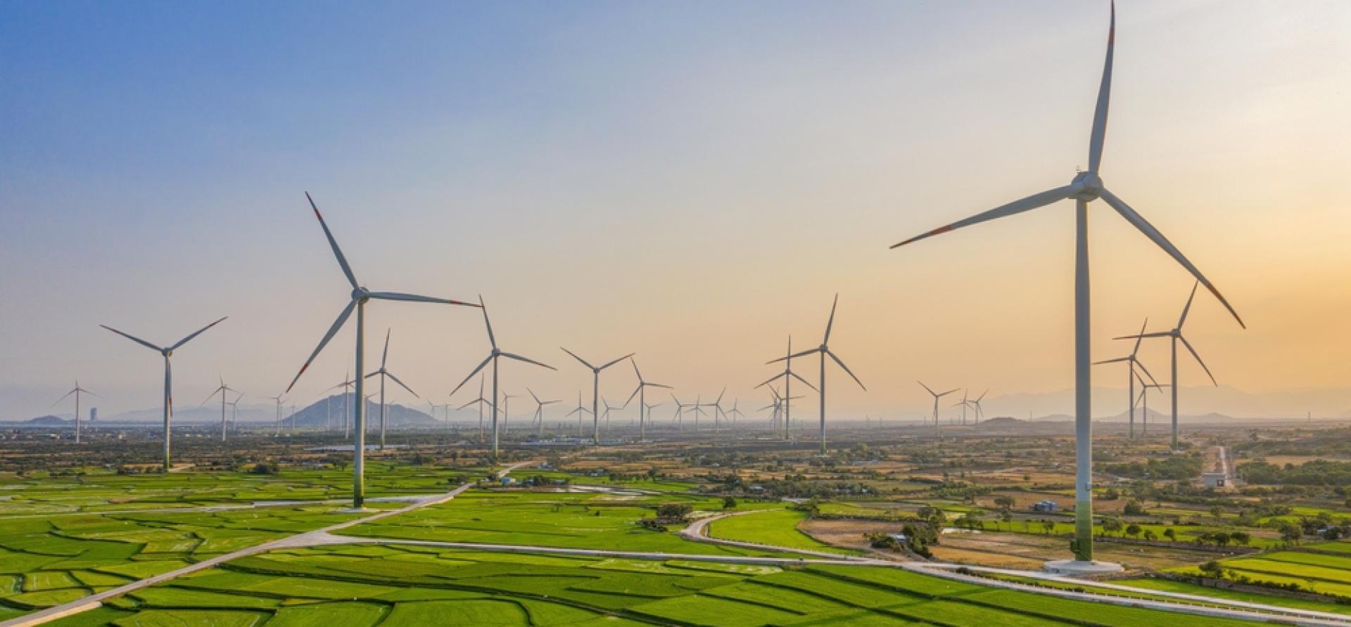 Renewable Energy